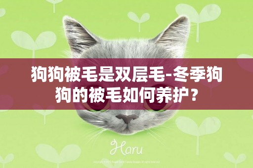 狗狗被毛是雙層毛-冬季狗狗的被毛如何養護？