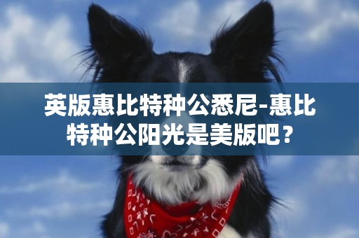 英版惠比特種公悉尼-惠比特種公陽光是美版吧？
