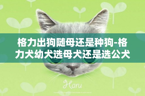 格力出狗隨母還是種狗-格力犬幼犬選母犬還是選公犬好