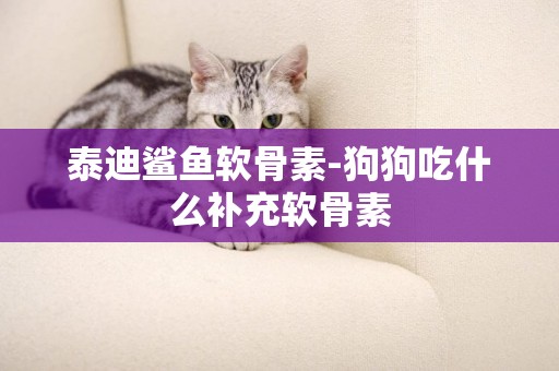 泰迪鯊魚軟骨素-狗狗吃什么補充軟骨素