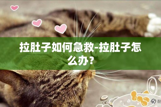 拉肚子如何急救-拉肚子怎么辦？