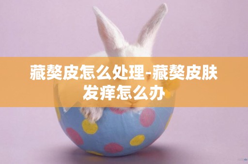 藏獒皮怎么處理-藏獒皮膚發癢怎么辦