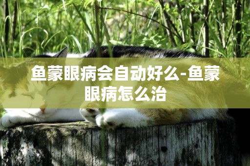 魚蒙眼病會自動好么-魚蒙眼病怎么治