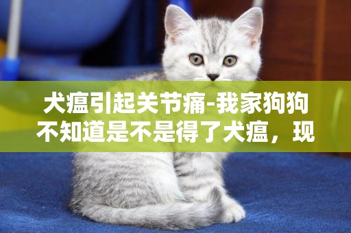 犬瘟引起關節痛-我家狗狗不知道是不是得了犬瘟，現在只要它一躺下就會疼的哇哇叫，沒日沒夜的叫，很心疼啊