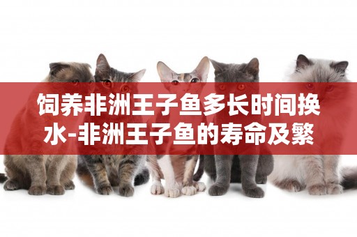 飼養非洲王子魚多長時間換水-非洲王子魚的壽命及繁殖期