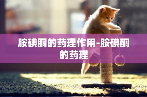 胺碘胴的藥理作用-胺碘酮的藥理