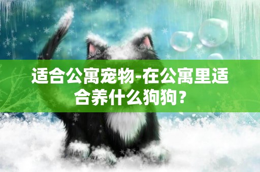 適合公寓寵物-在公寓里適合養什么狗狗？