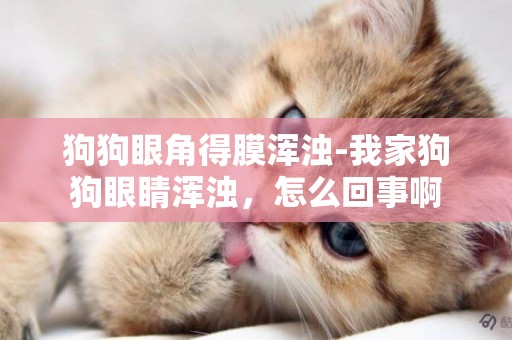 狗狗眼角得膜渾濁-我家狗狗眼睛渾濁，怎么回事啊