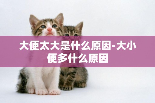 大便太大是什么原因-大小便多什么原因