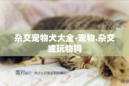 雜交寵物犬大全-寵物.雜交或玩物狗