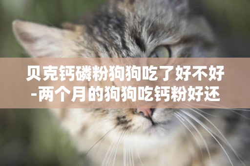 貝克鈣磷粉狗狗吃了好不好-兩個月的狗狗吃鈣粉好還是鈣片好