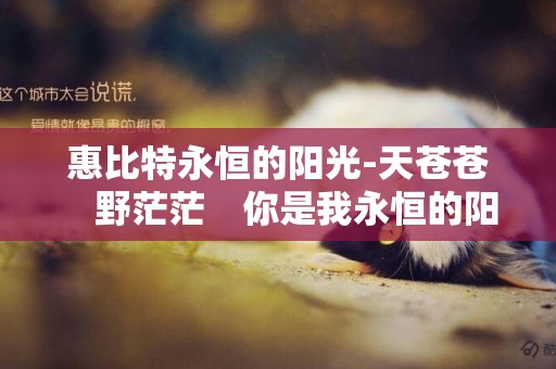 惠比特永恒的陽光-天蒼蒼　野茫茫　你是我永恒的陽光這個是什么歌