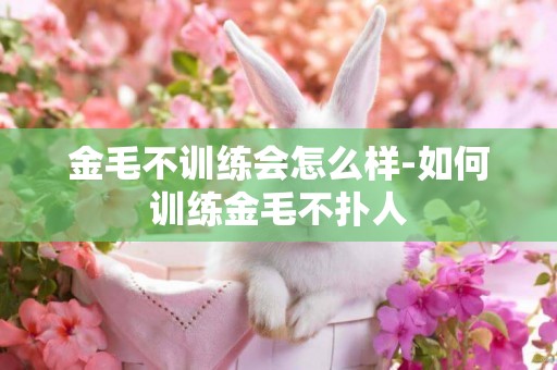 金毛不訓練會怎么樣-如何訓練金毛不撲人