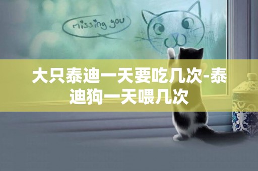 大只泰迪一天要吃幾次-泰迪狗一天喂幾次