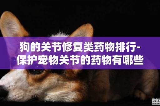狗的關節修復類藥物排行-保護寵物關節的藥物有哪些？比較好的是哪個牌的？