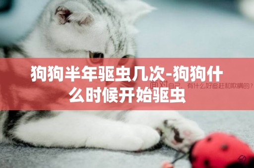 狗狗半年驅蟲幾次-狗狗什么時候開始驅蟲