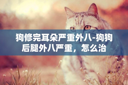狗修完耳朵嚴重外八-狗狗后腿外八嚴重，怎么治