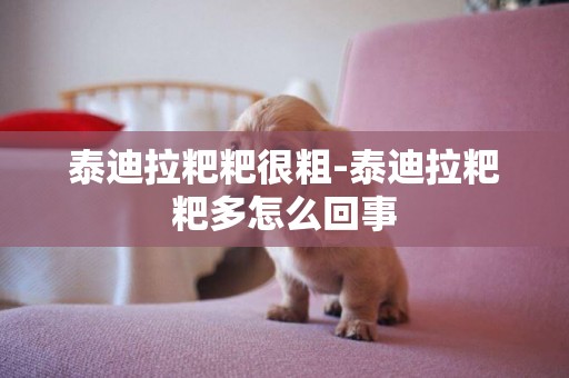泰迪拉粑粑很粗-泰迪拉粑粑多怎么回事