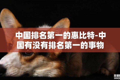 中國排名第一的惠比特-中國有沒有排名第一的事物