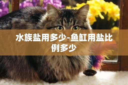 水族鹽用多少-魚缸用鹽比例多少
