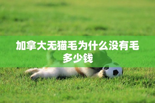 加拿大無貓毛為什么沒有毛多少錢