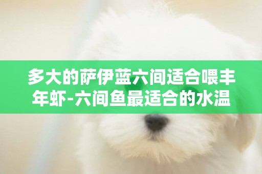 多大的薩伊藍六間適合喂豐年蝦-六間魚最適合的水溫？
