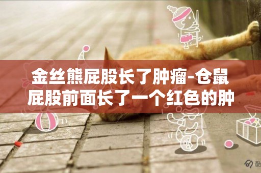 金絲熊屁股長了腫瘤-倉鼠屁股前面長了一個紅色的腫瘤，剛剛找紅色的又軟又硬是什么腫瘤？