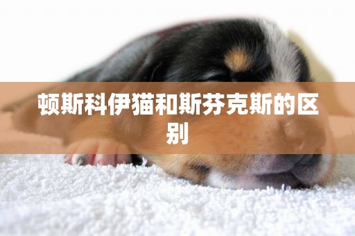 頓斯科伊貓和斯芬克斯的區別