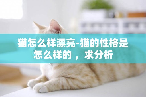 貓怎么樣漂亮-貓的性格是怎么樣的 ，求分析