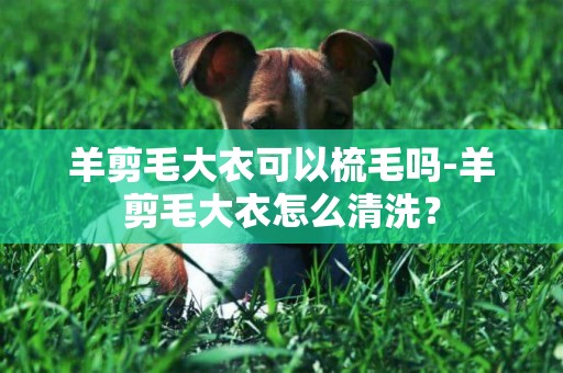 羊剪毛大衣可以梳毛嗎-羊剪毛大衣怎么清洗？
