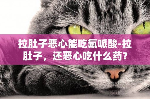 拉肚子惡心能吃氟哌酸-拉肚子，還惡心吃什么藥？