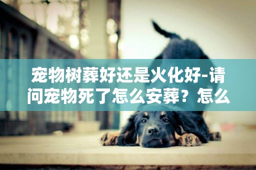 寵物樹葬好還是火化好-請問寵物死了怎么安葬？怎么火化和埋葬？