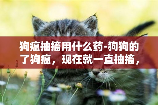 狗瘟抽搐用什么藥-狗狗的了狗瘟，現在就一直抽搐，該用什么藥？