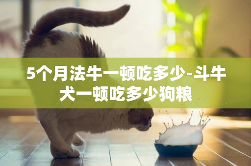 5個月法牛一頓吃多少-斗牛犬一頓吃多少狗糧