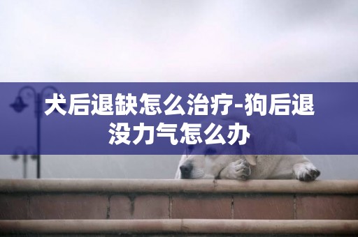 犬后退缺怎么治療-狗后退沒力氣怎么辦
