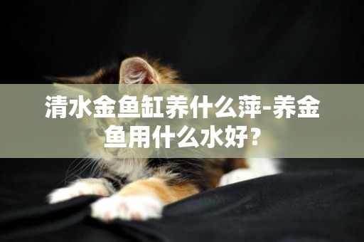 清水金魚缸養什么萍-養金魚用什么水好？