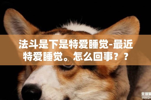 法斗是下是特愛睡覺-最近特愛睡覺。怎么回事？？
