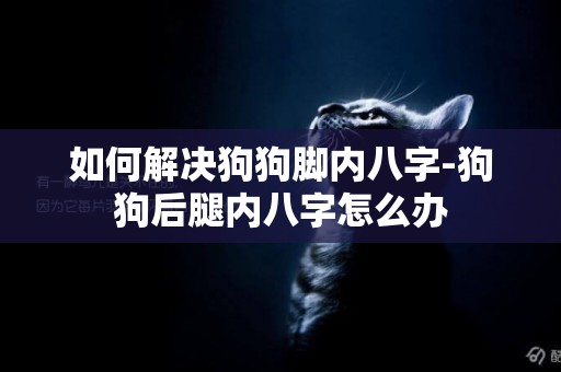 如何解決狗狗腳內八字-狗狗后腿內八字怎么辦