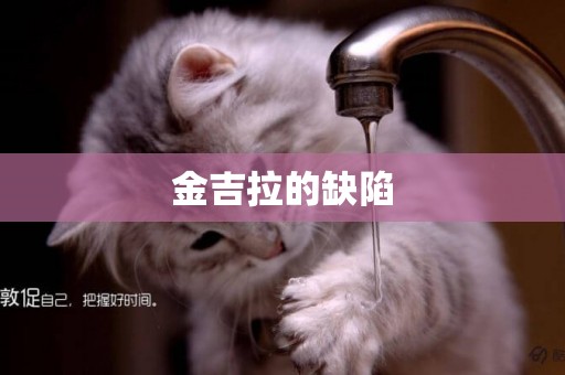 金吉拉的缺陷