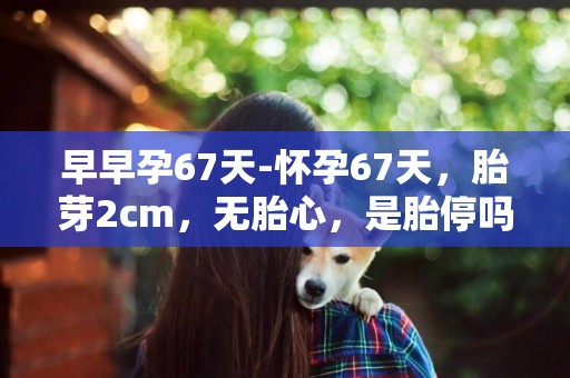 早早孕67天-懷孕67天，胎芽2cm，無胎心，是胎停嗎