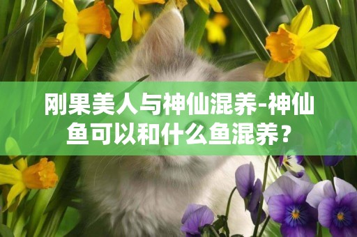剛果美人與神仙混養-神仙魚可以和什么魚混養？