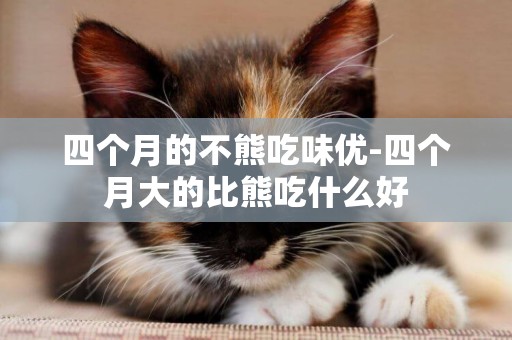 四個月的不熊吃味優-四個月大的比熊吃什么好