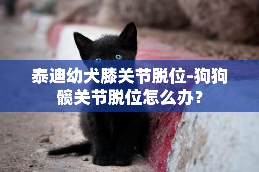 泰迪幼犬膝關節脫位-狗狗髖關節脫位怎么辦？