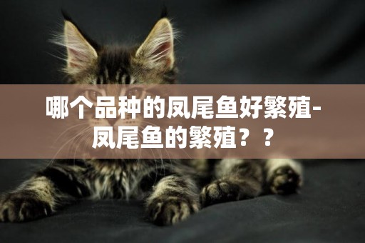 哪個品種的鳳尾魚好繁殖-鳳尾魚的繁殖？？