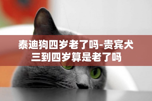 泰迪狗四歲老了嗎-貴賓犬三到四歲算是老了嗎