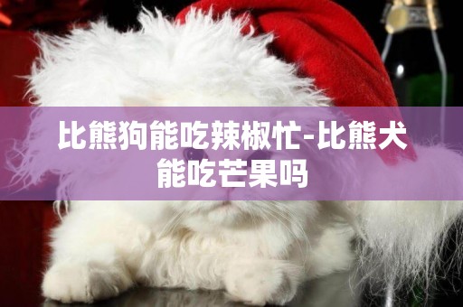 比熊狗能吃辣椒忙-比熊犬能吃芒果嗎