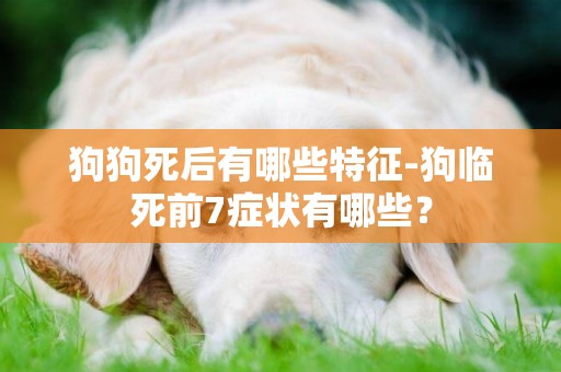 狗狗死后有哪些特征-狗臨死前7癥狀有哪些？