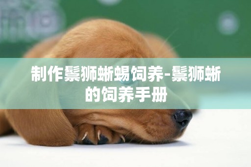 制作鬃獅蜥蜴飼養-鬃獅蜥的飼養手冊