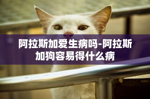 阿拉斯加愛生病嗎-阿拉斯加狗容易得什么病