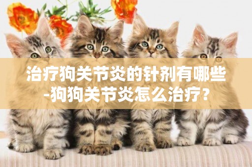 治療狗關節炎的針劑有哪些-狗狗關節炎怎么治療？